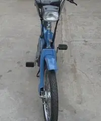 ciao piaggio px