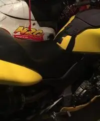 Honda hornet 600 del 02