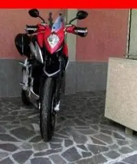 MV AGUSTA Stradale 800 rosso grigia - 0