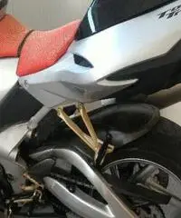 BENELLI Tornado 900 Export price www.actionbike.it