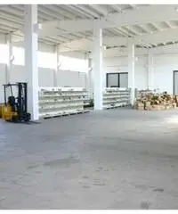 Capannone Singolo Ponte San Marco di Calcinato - Brescia