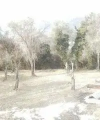 Recco: Rustico Altro