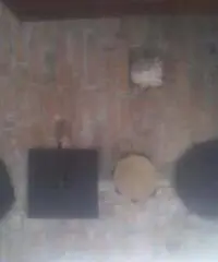 Camera singola Giardinetti