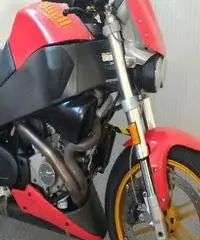 BUELL Lightning XB 12S Export price www.actionbike.it