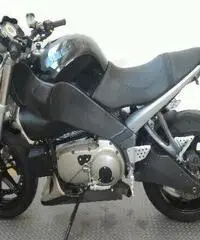 BUELL Lightning XB 12S Export price www.actionbike.it