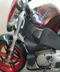 BUELL Lightning XB 12S Export price www.actionbike.it