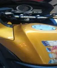 HONDA CBF 1000 Export price www.actionbike.it