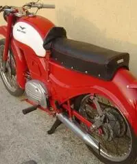 MOTO GUZZI Zigolo 98 Tel. 366-8985749