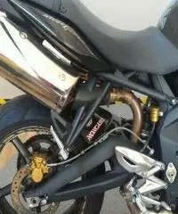 TRIUMPH Street Triple 675 Export price www.actionbike.it