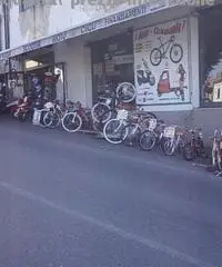 CICLO OLANDESINA DI 16 LOMBARDO nuova di fabbrica