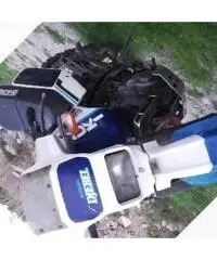 Suzuki Altro modello - 1987