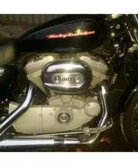 HARLEY DAVIDSON 883
