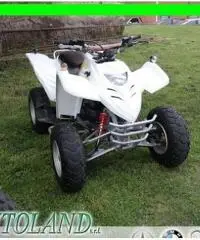 ADLY Super Sonic 50 Quad 4 Tempi 50cc