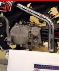 Altro nd Bianco Rosso - 1