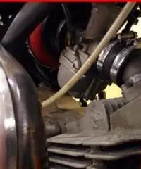 Altro nd Bianco Rosso - 1