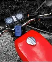 Benelli 750 Sei, Perfetta, Tagliandata e revisionata