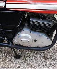 Ducati Sport 500 Desmo, Iscritta ASI