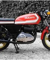Ducati Sport 500 Desmo, Iscritta ASI