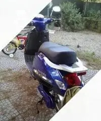 E-Tropolis Bel Air - 2014