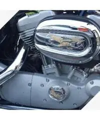 Harley-Davidson Sportster 883 - 2008