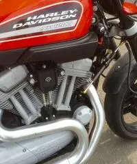 harley xr 1200