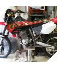 Honda Dall'Ara XR 250 - 2001