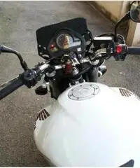 Honda Hornet 600, Manutenzione curata, Tagliandi certificati, Uniproprietario