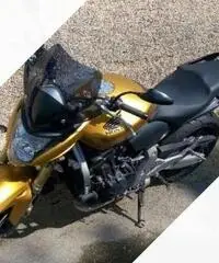 Honda Hornet - Agosto 2008