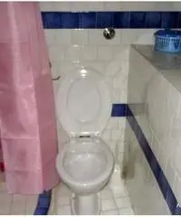 Appartamento di 2 locali in Affitto