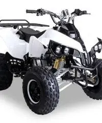 MINIQUAD 125cc 4 TEMPI PREDATOR TELECOMANDO QUAD MINI SUPER OFFERTE