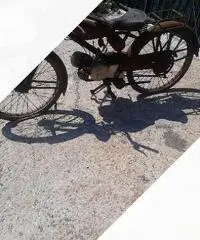 Moto Guzzi Altro modello - Anni 50