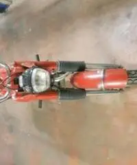 Moto Guzzi Dingo 50 GT 1972