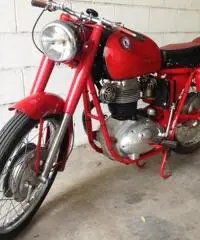 Moto Perugina 175 GT del 1953 Aermacchi MV Augusta Moto Guzzi
