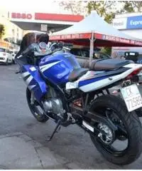SUZUKI GS 500 F 2oo5 Km 9.800 €. 1.700 Permute Garanzia