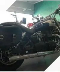 Triumph SpeedMaster Borse Schienale Parabrezza