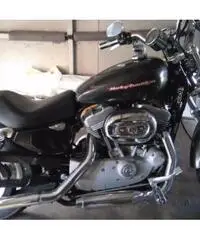 HARLEY-DAVIDSON Sportster 883 Custom cc 883