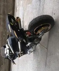 Maxsimoto a liquido edizione limitata