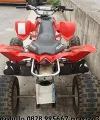 POLARIS OutLaw 525 E 525 motore ktm