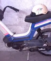Atala master LL 50cc