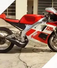 Yamaha Altro modello tzr 125 - 1997