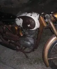 aereomere caproni 75 deluxe