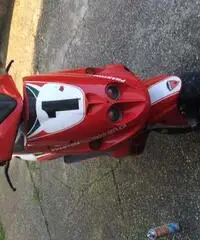 Phantom 2001 Ducati