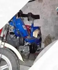 Piaggio Altro modello - 1980