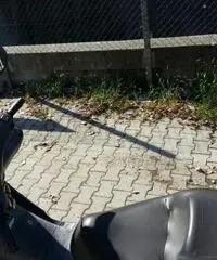 Honda foresight 250 cc.  2000