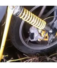 suzuki katana 550, 1981, no targhe