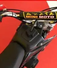 AF MOTOR Minicross 50 cc rosso/nero - 1