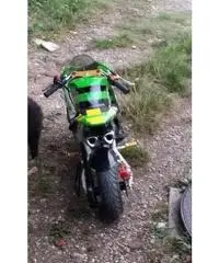 minimoto