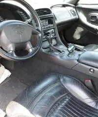 Chevrolet Corvette C5 50° ANNIVERSARY Coupè 5.7 V8 344Cv.