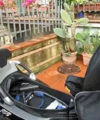 Piaggio Mp3 business 300 lt 3 ruote