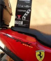 Scooter Peugeot 100 cc Speedfight